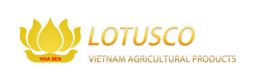Lotusco Logo