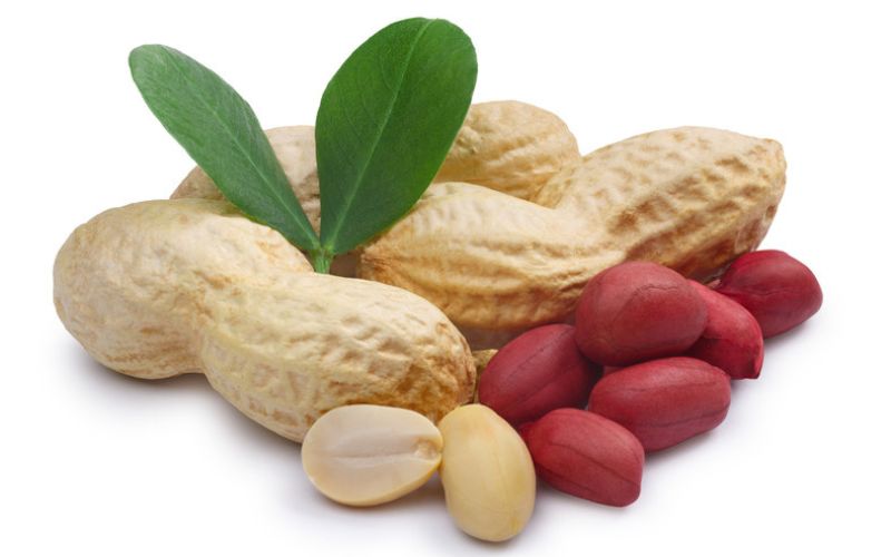 6. Peanut