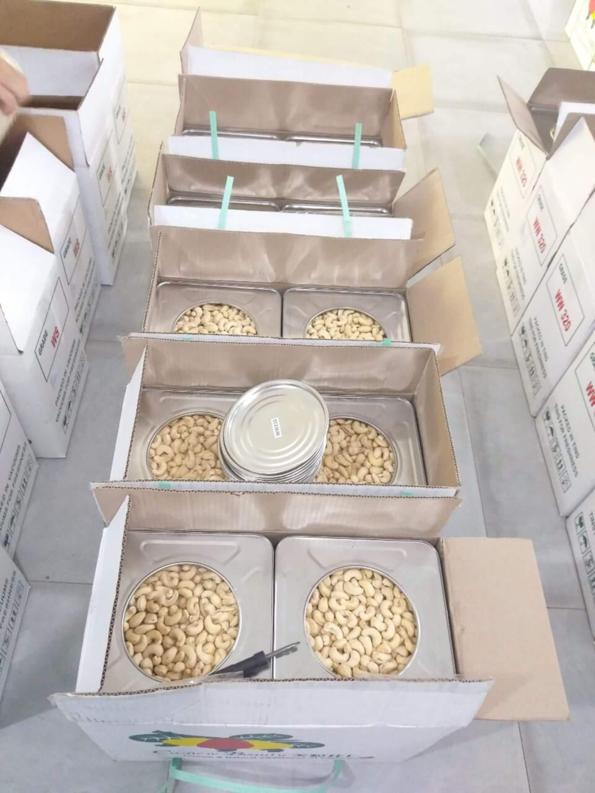 Cashew Nut packing in Tins